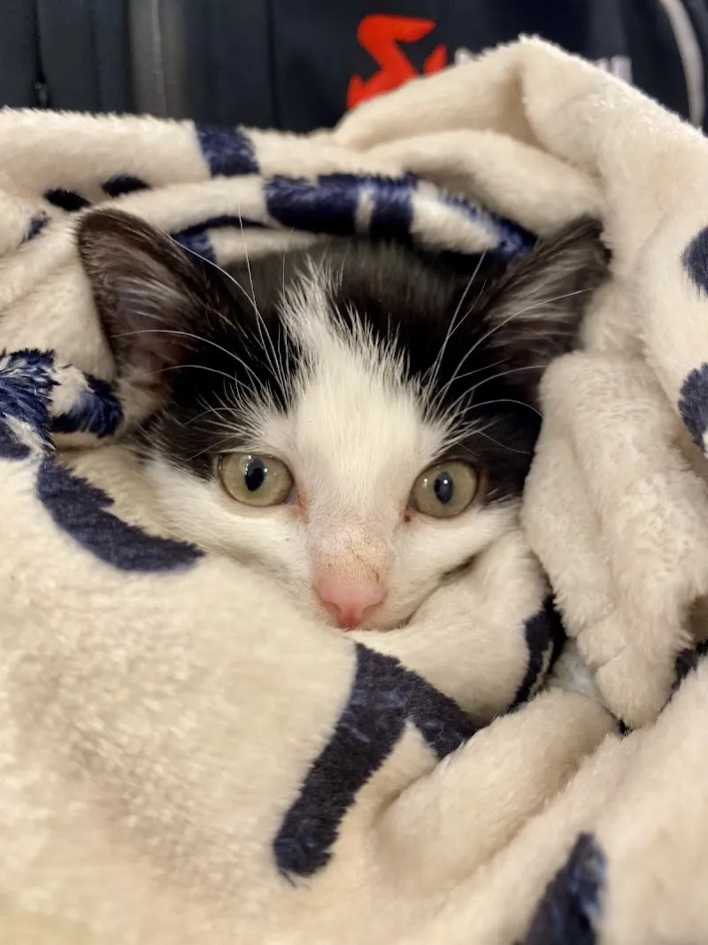 LEPETSHOP.CH — Zoofachhandel in Genève, Genf. Bewertung 4.3/5.