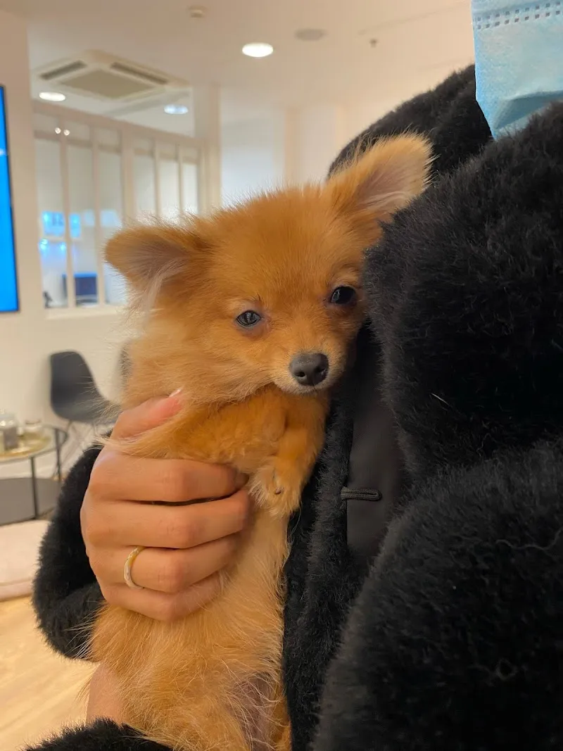 LEPETSHOP.CH — Zoofachhandel, Genève, Genf. Foto 2