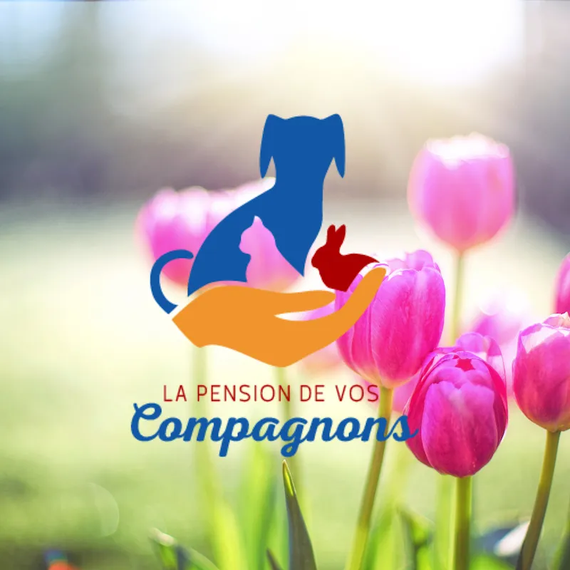 La Pension de vos compagnons - Joane Pignolet — Katzenpension in Cormoret, Bern. Bewertung 5.0/5.