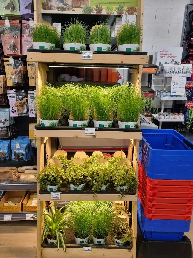 Petfriends — Zoofachhandel, Meyrin, Genf. Foto 3