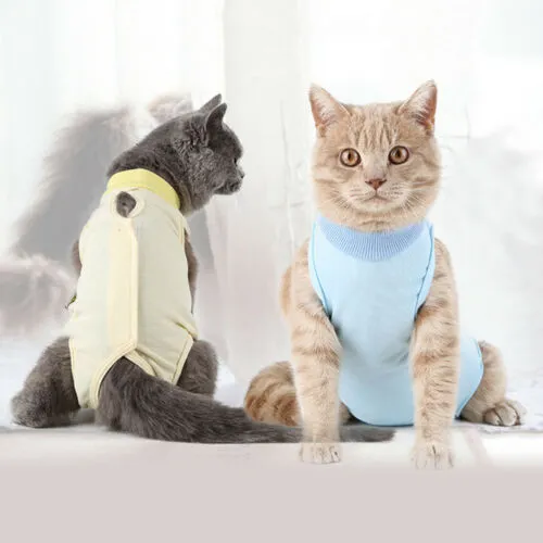 PetsAccessoires — Animalerie, Genf, Genève. Foto 2