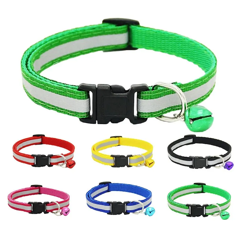 PetsAccessoires — Animalerie, Genf, Genève. Foto 3