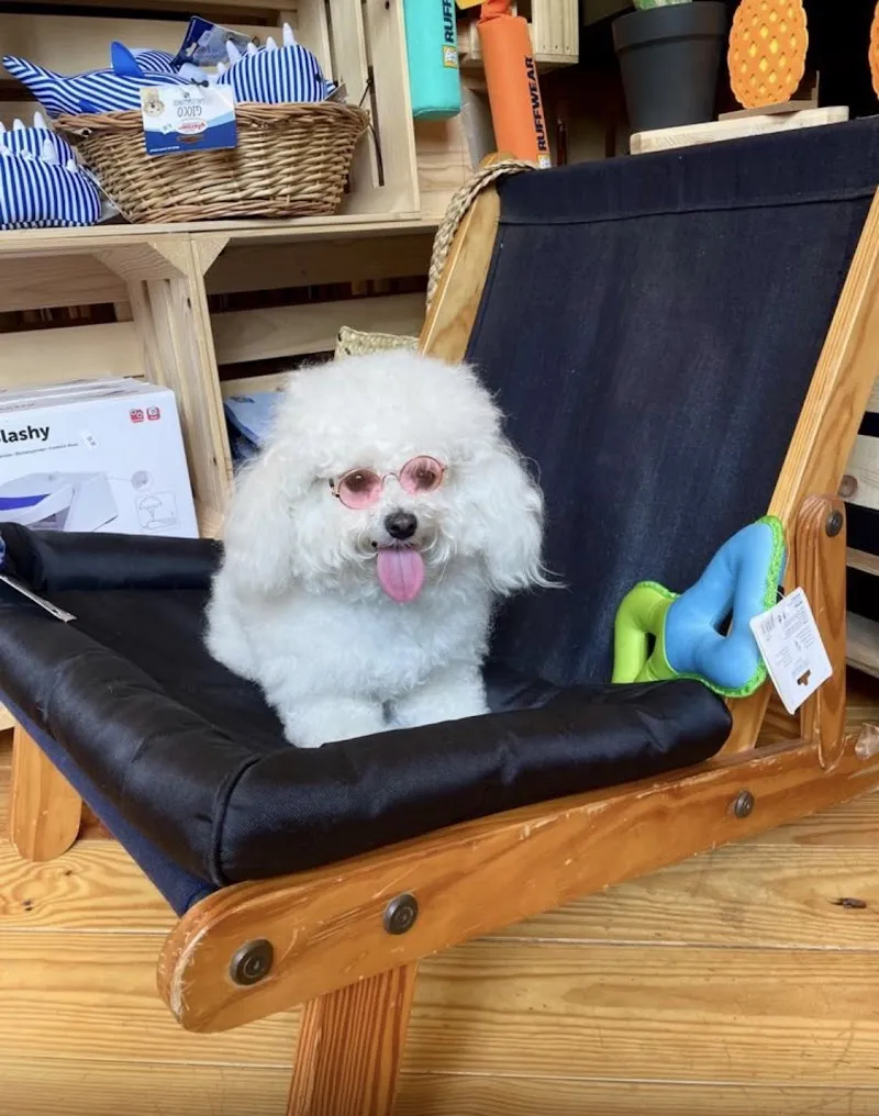 Petshopping — Zoofachhandel, Les Acacias, Genf. Foto 3