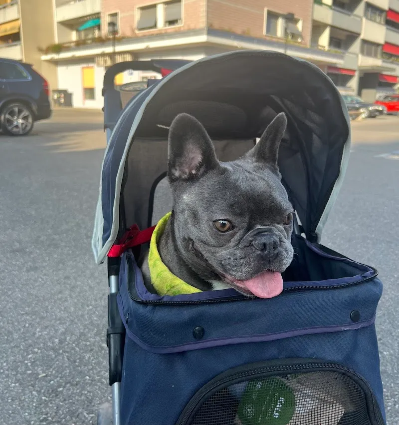 Relook Dog — Zoofachhandel in Thônex, Genf. Bewertung 4.8/5.