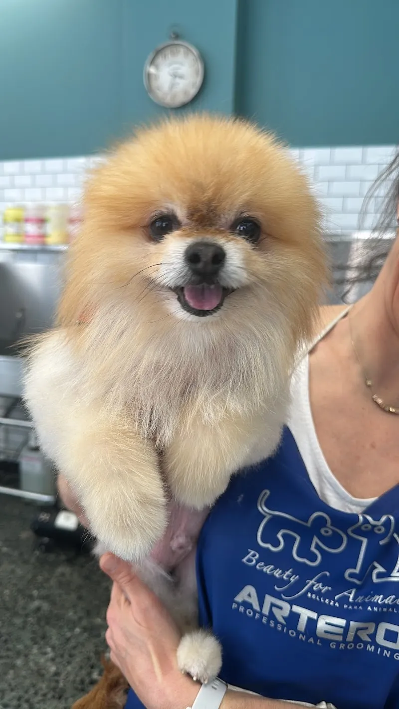 Relook Dog — Zoofachhandel, Thônex, Genf. Foto 2