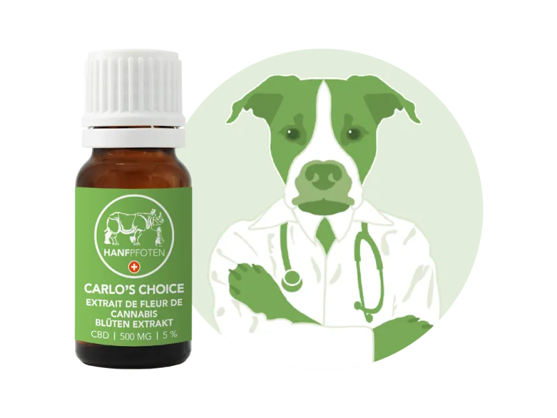 BergBlüten AG — Animalerie, Ziegelbrücke, Saint-Gall. Foto 3