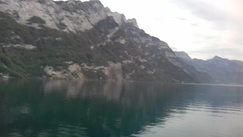 Garten- und Zoobedarf Schrepfer GmbH — Animalerie, Mühlehorn, Glaris. Foto 2