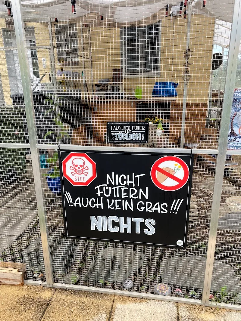 Tatzenpfote Anita Bugmann — Katzenpension in Ehrendingen, Aargau. Bewertung 5.0/5.