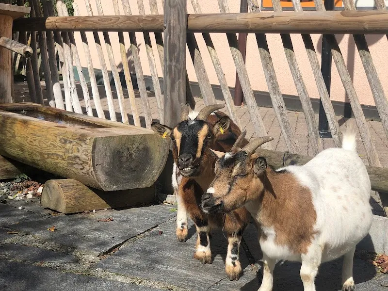 Mini-Zoopark — Zoofachhandel, Landquart, Graubünden. Foto 2