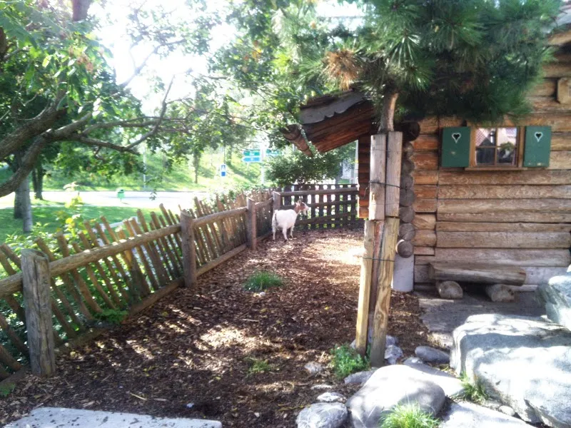 Mini-Zoopark — Zoofachhandel, Landquart, Graubünden. Foto 3