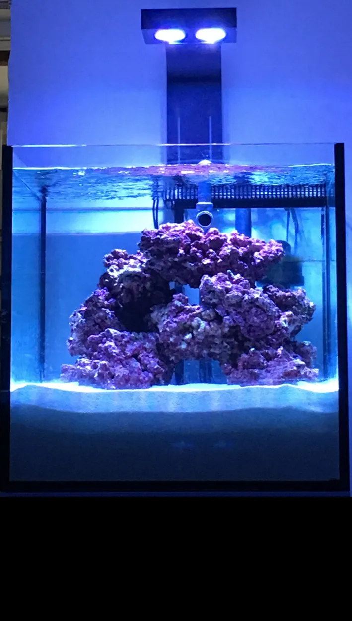 Ocean4you — Animalerie, Igis, Grisons. Foto 2