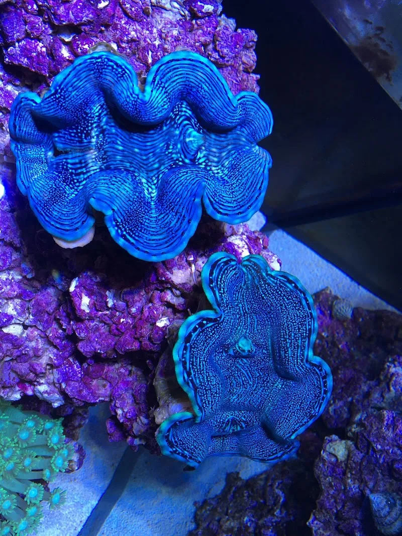 Oceanlife — Zoofachhandel in Igis, Graubünden. 