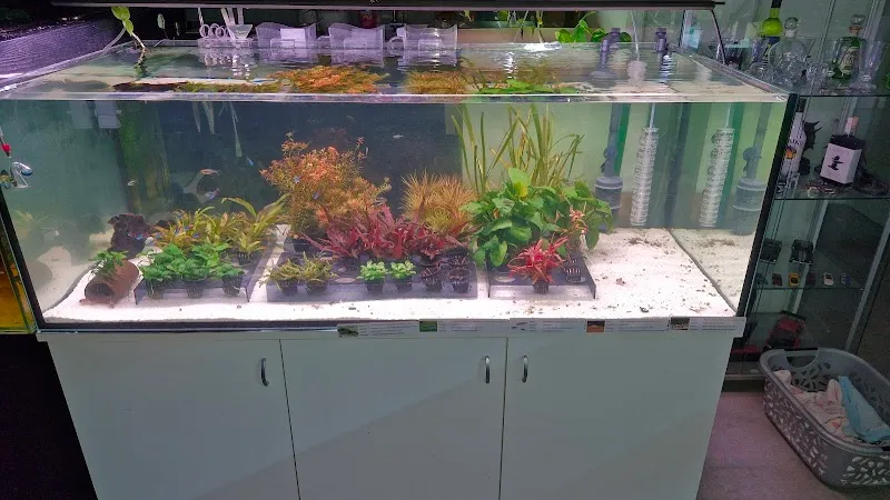 Pascony Aquarium Design Gantenbein — Zoofachhandel, Untervaz, Graubünden. Foto 2