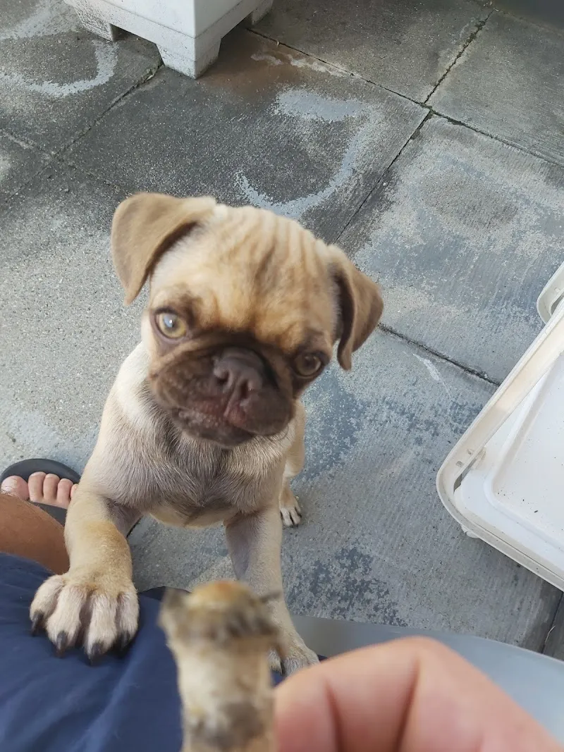 Petfriends Chur — Zoofachhandel, Chur, Graubünden. Foto 2