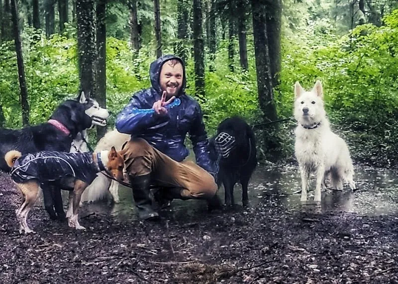 Buddy4Dogs — Katzenpension, Dierikon, Luzern. Foto 3