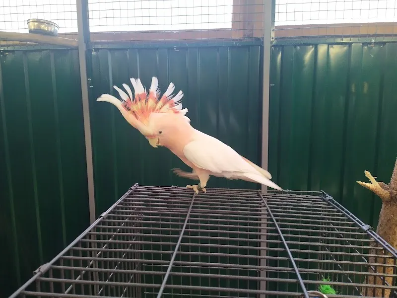 Au Bonheur des Animaux — Animalerie, Tavannes, Berne. Foto 3