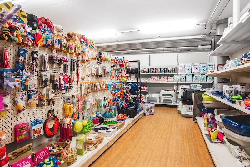 Boutique Le Coussinet — Animalerie, Delémont, Jura. Foto 2