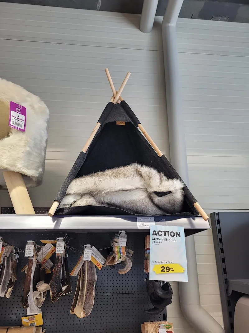 QUALIPET Centre Courrendlin — Animalerie, Courrendlin, Jura. Foto 3