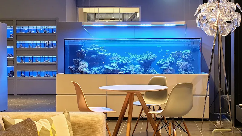 Aquatrend GmbH - der Aquarienfachmarkt — Animalerie, Cham, Zoug. Foto 2