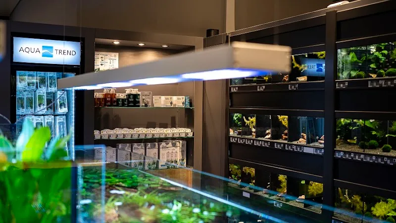 Aquatrend GmbH - der Aquarienfachmarkt — Animalerie, Cham, Zoug. Foto 3