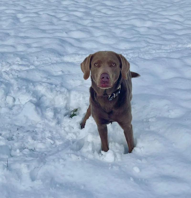 BARFShop.ch — Zoofachhandel in Luzern, Luzern. Bewertung 5.0/5.