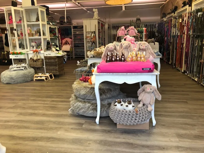 Doggy Kitchen Boutique — Animalerie, Ebikon, Lucerne. Foto 2