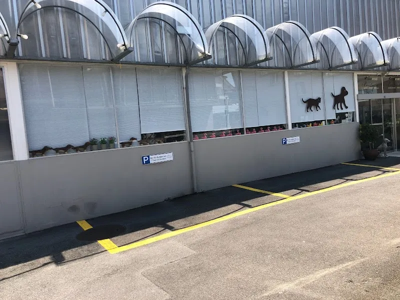 Doggy Kitchen Boutique — Animalerie, Ebikon, Lucerne. Foto 3