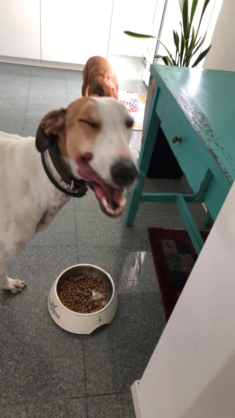 Fressnapf Dierikon — Zoofachhandel in Dierikon, Luzern. Bewertung 4.5/5.