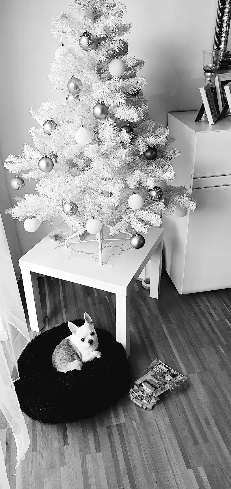 Fressnapf Kriens — Animalerie, Kriens, Lucerne. Foto 2