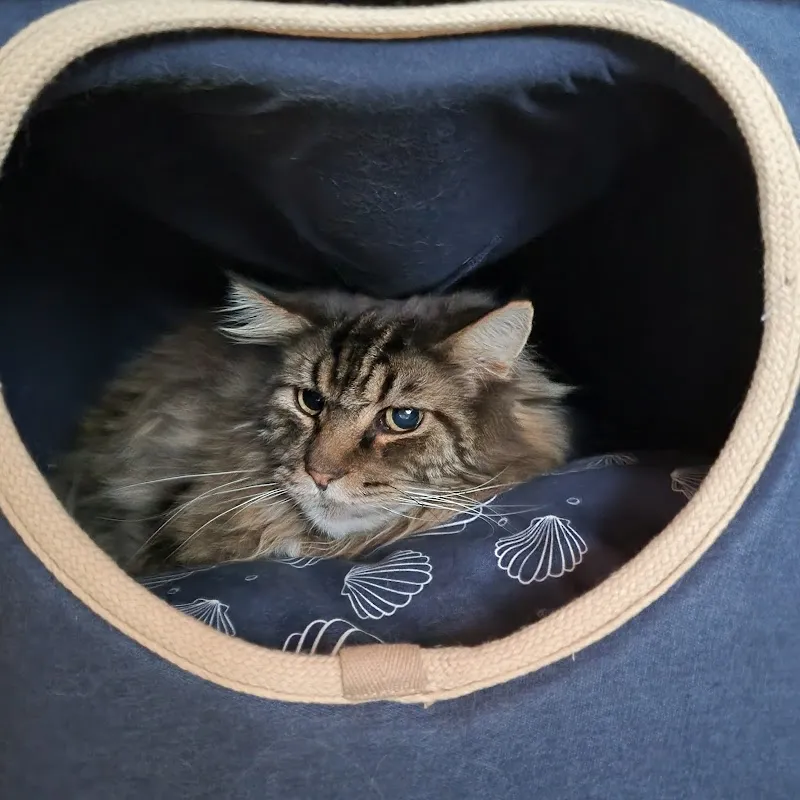 Fressnapf Littau — Animalerie, Luzern, Lucerne. Foto 2