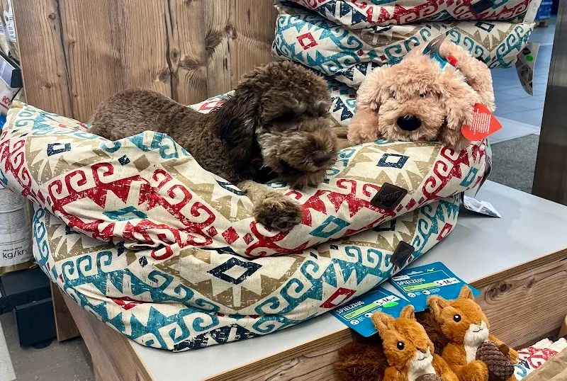 Fressnapf Littau — Animalerie, Luzern, Lucerne. Foto 3