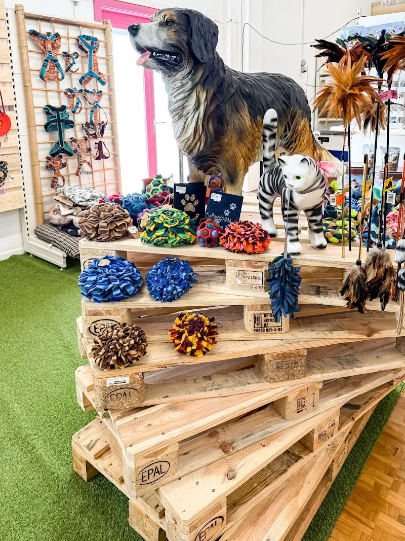 Futter24 — Animalerie, Matzingen, Thurgovie. Foto 2