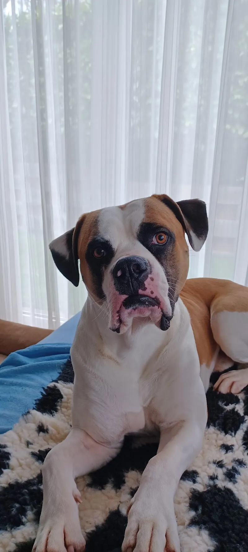 Futterbox GmbH — Zoofachhandel, Laufenburg, Aargau. Foto 3