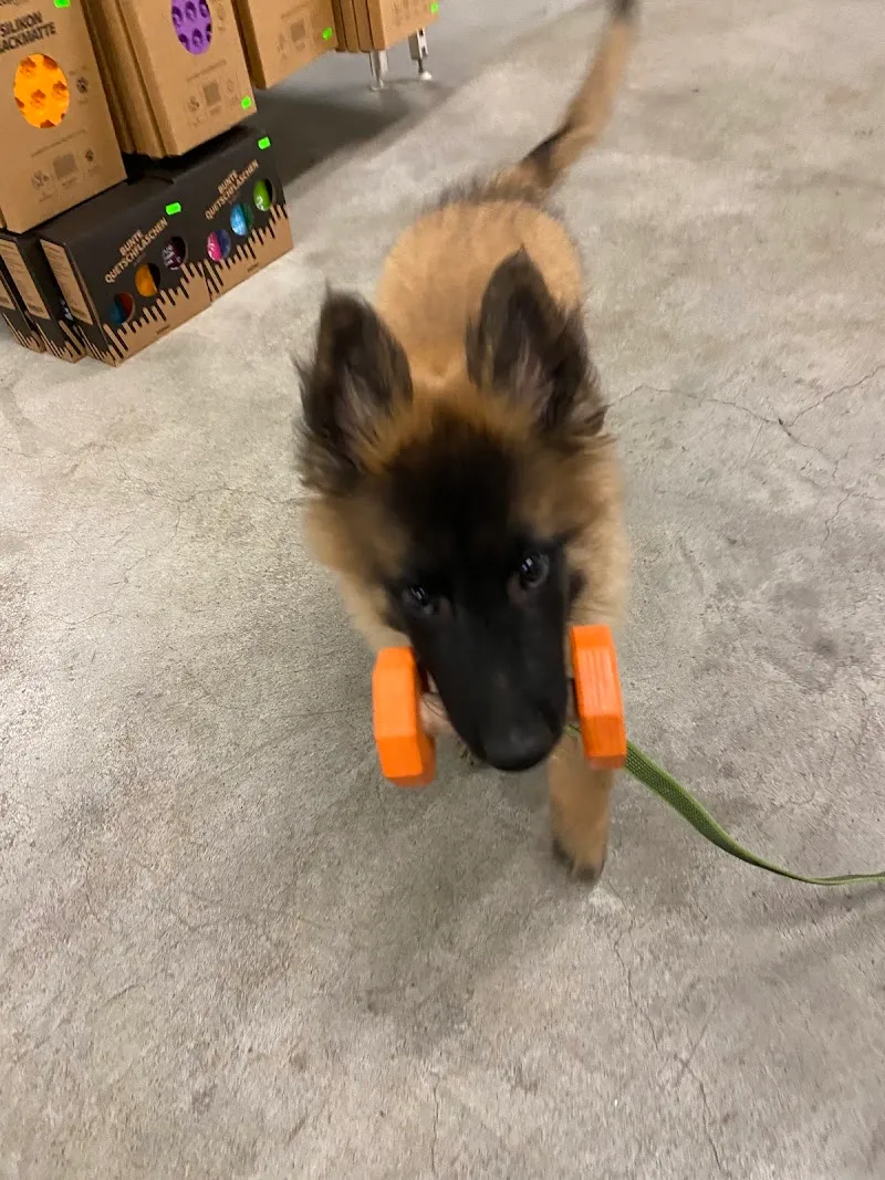 MKD-Shop GmbH — Zoofachhandel in Ballwil, Luzern. Bewertung 5.0/5.