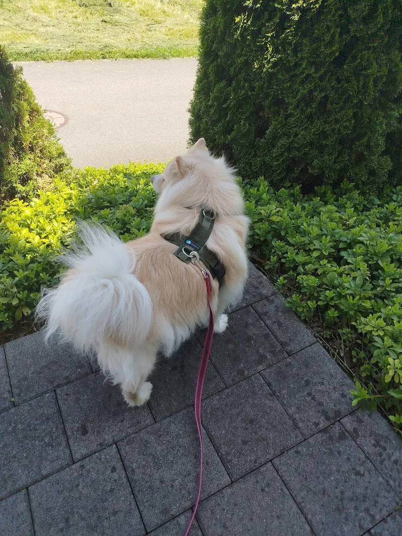 MKD-Shop GmbH — Zoofachhandel, Ballwil, Luzern. Foto 3