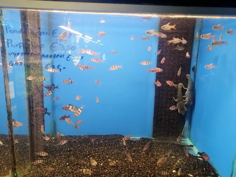 Maxi Zoo Emmen — Zoofachhandel, Emmen, Luzern. Foto 3