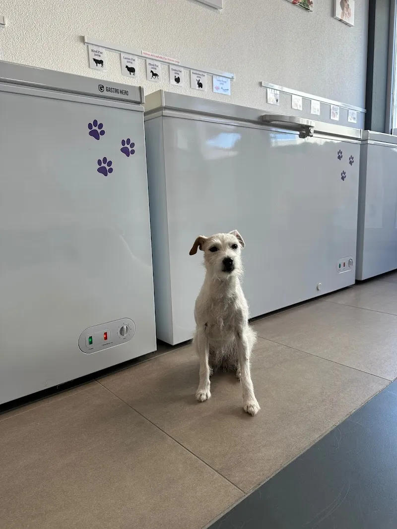 Nahuna Barf Shop — Animalerie, Schötz, Lucerne. Foto 3