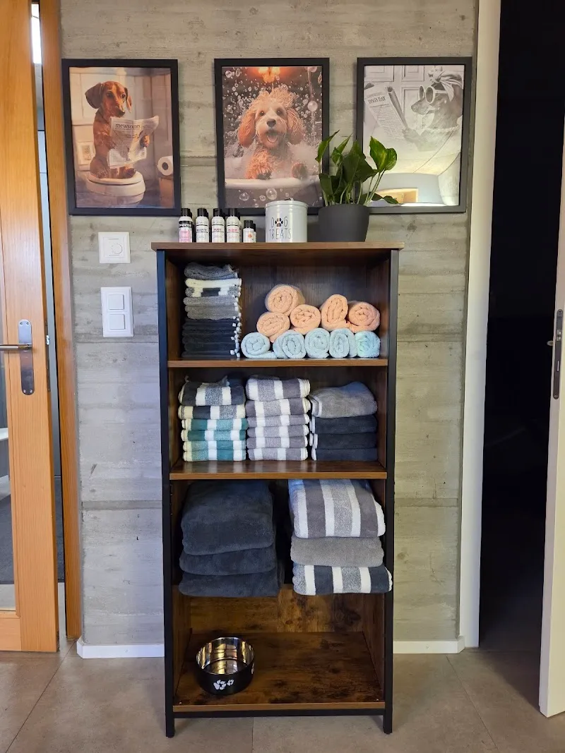 Hunde- & Katzensalon Fellwerk - Dog & Cat Grooming — Katzenpension, Kriens, Luzern. Foto 2