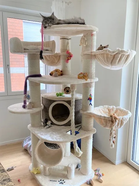 PET HOMES AG — Zoofachhandel, Eschenbach, Luzern. Foto 3