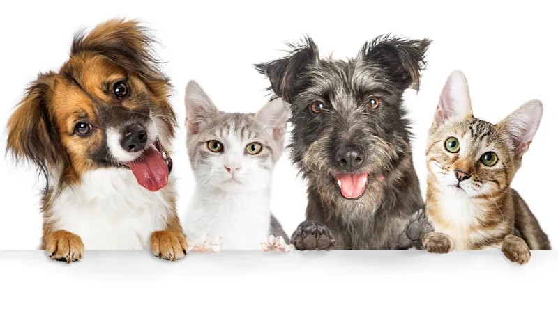 PerAnimal GmbH — Zoofachhandel, Root, Luzern. Foto 2