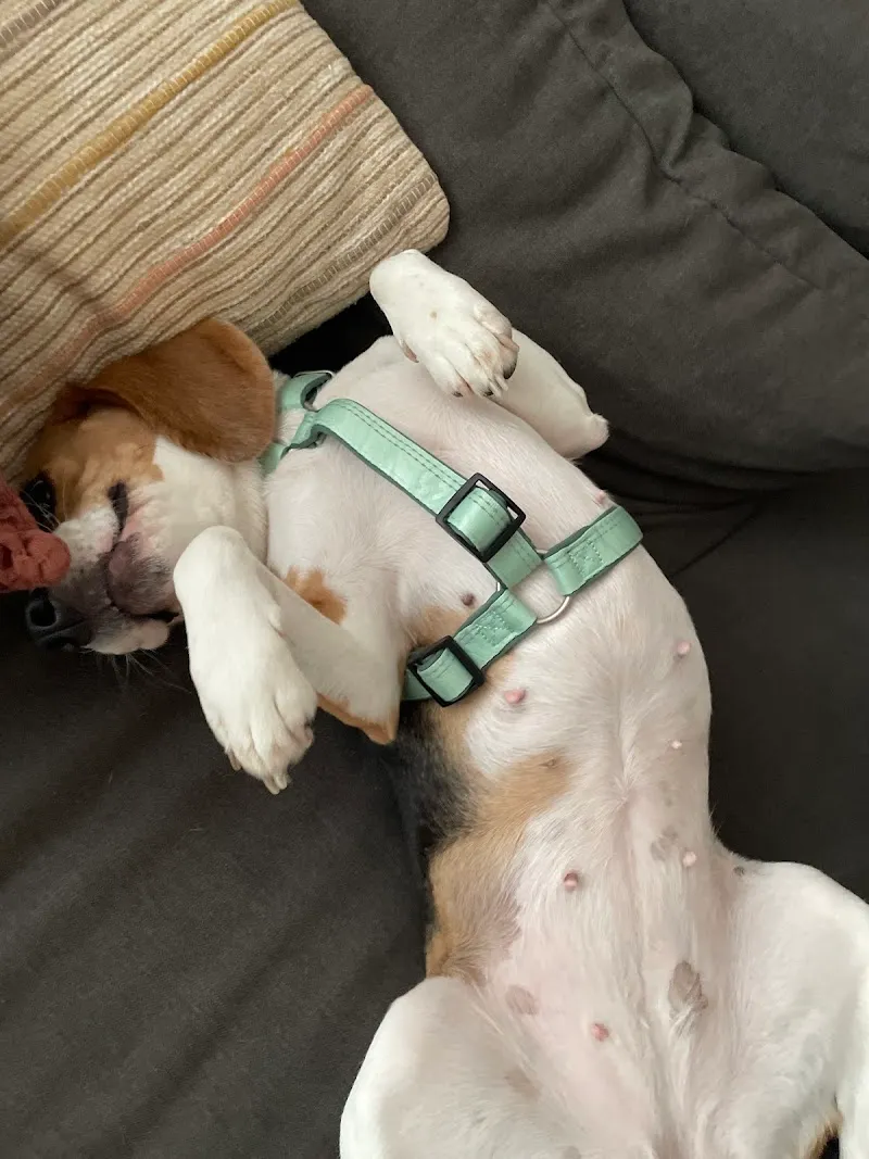 Petfriends Ebikon — Zoofachhandel, Ebikon, Luzern. Foto 3