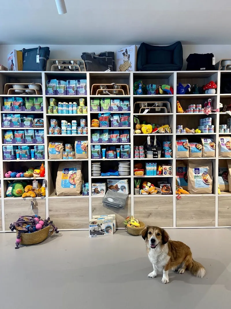 Pets Deli Luzern | Geschäft für Heimtierbedarf — Animalerie, Luzern, Lucerne. Foto 2