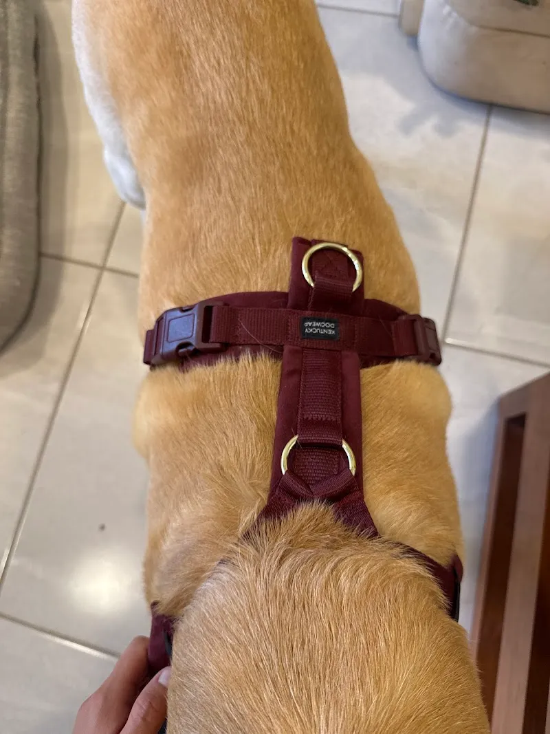 Pets Deli Luzern | Geschäft für Heimtierbedarf — Animalerie, Luzern, Lucerne. Foto 3