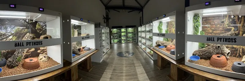 Pinato Pythons — Zoofachhandel in St. Erhard, Luzern. Bewertung 5.0/5.