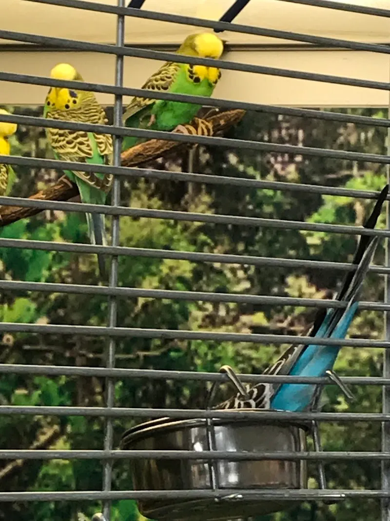 QUALIPET Center Stans — Zoofachhandel in Stans, Nidwalden. Bewertung 4.5/5.