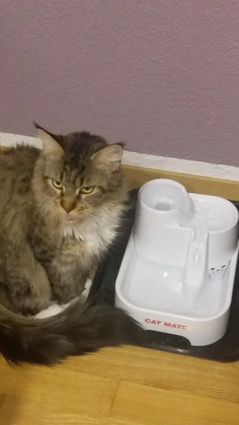 QUALIPET Center Stans — Animalerie, Stans, Nidwald. Foto 3