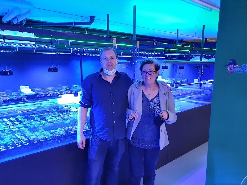 Reef Monkeys Schweiz GmbH — Zoofachhandel in Rain, Luzern. Bewertung 5.0/5.