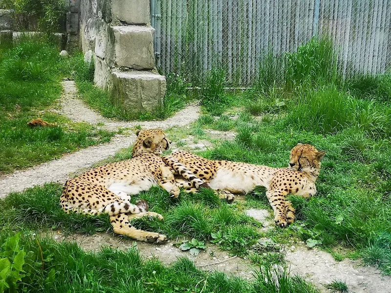 Toni's Zoo Holzhüsern — Zoofachhandel in Rothenburg, Luzern. Bewertung 4.2/5.