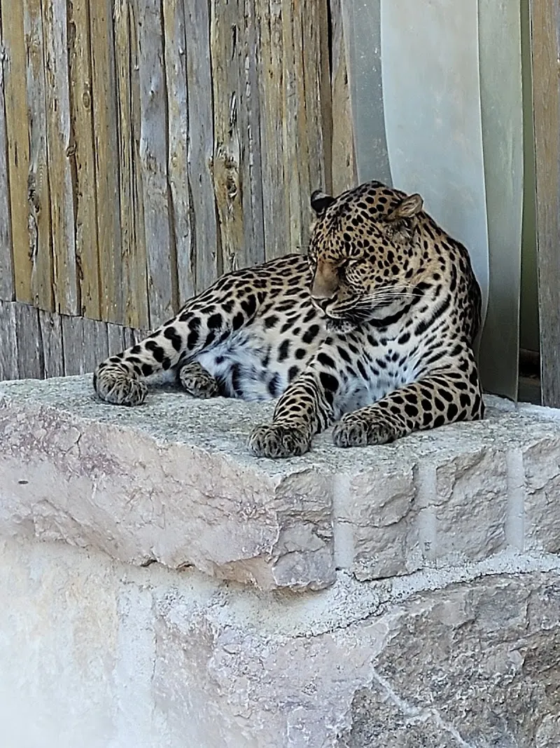 Toni's Zoo Holzhüsern — Animalerie, Rothenburg, Lucerne. Foto 3