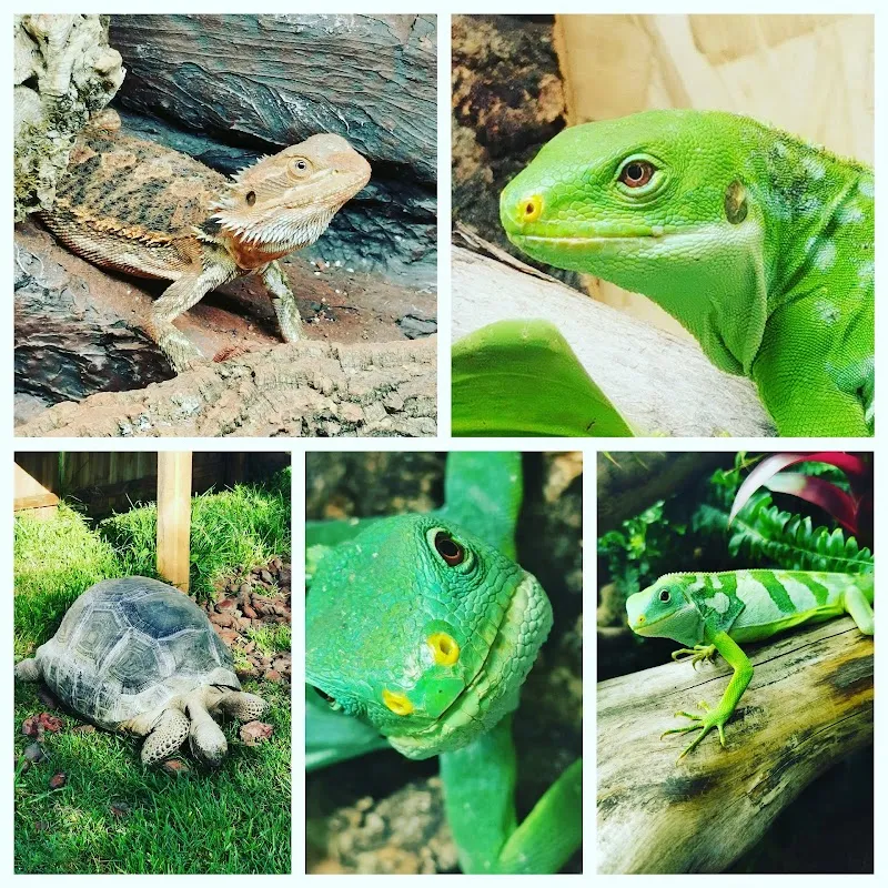 ZooPlanet — Zoofachhandel in Menziken, Aargau. Bewertung 5.0/5.